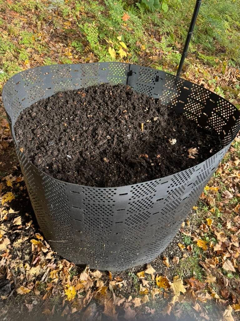 October 2025, Greenwich Composting Project - finished compost ready for heat treatment and bagging
