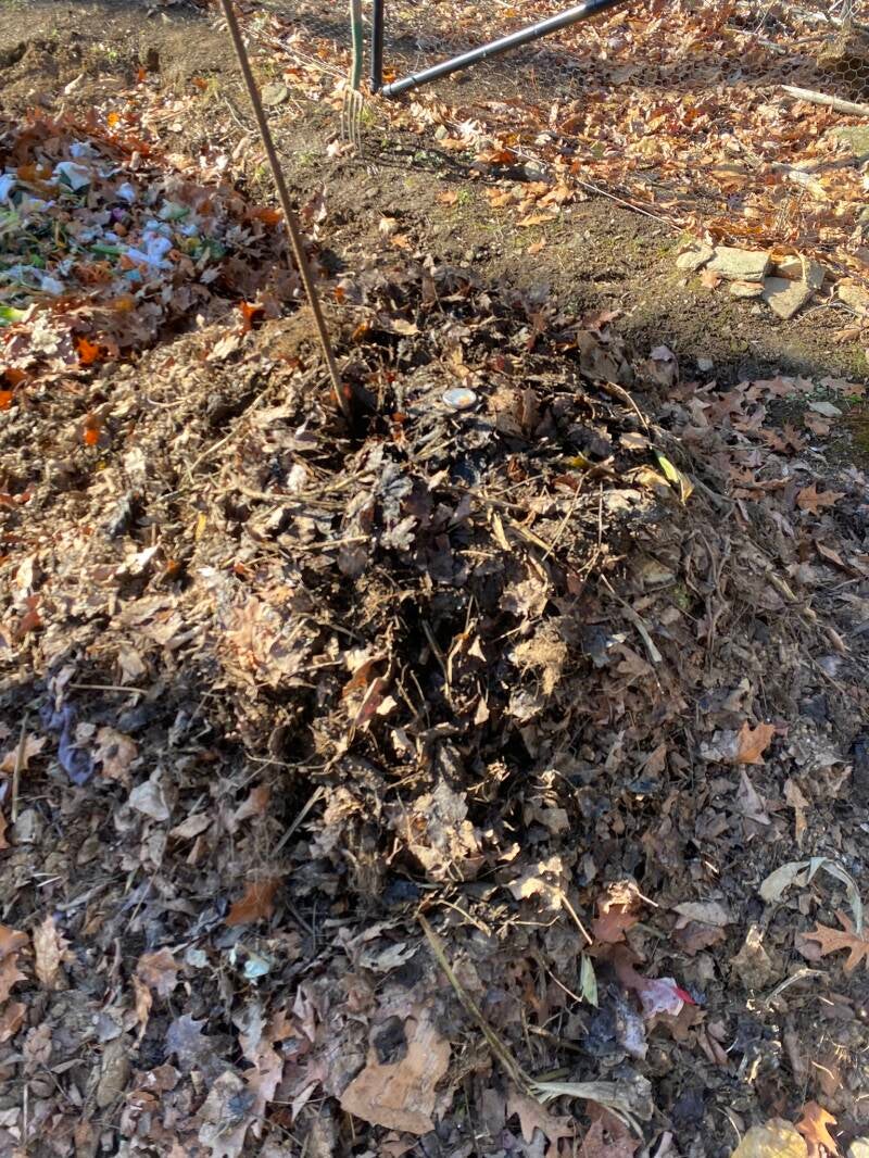 Using re-bar to aerate the original compost pile - Greenwich Compsting Project