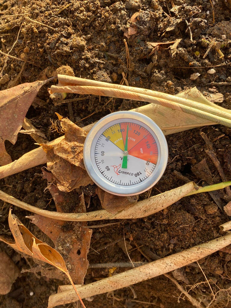 Now the Greenwich Composting Project has a larger composting pile it is heating up rapidly.  After only 38 hour our pile is now active at 108 degrees!s 