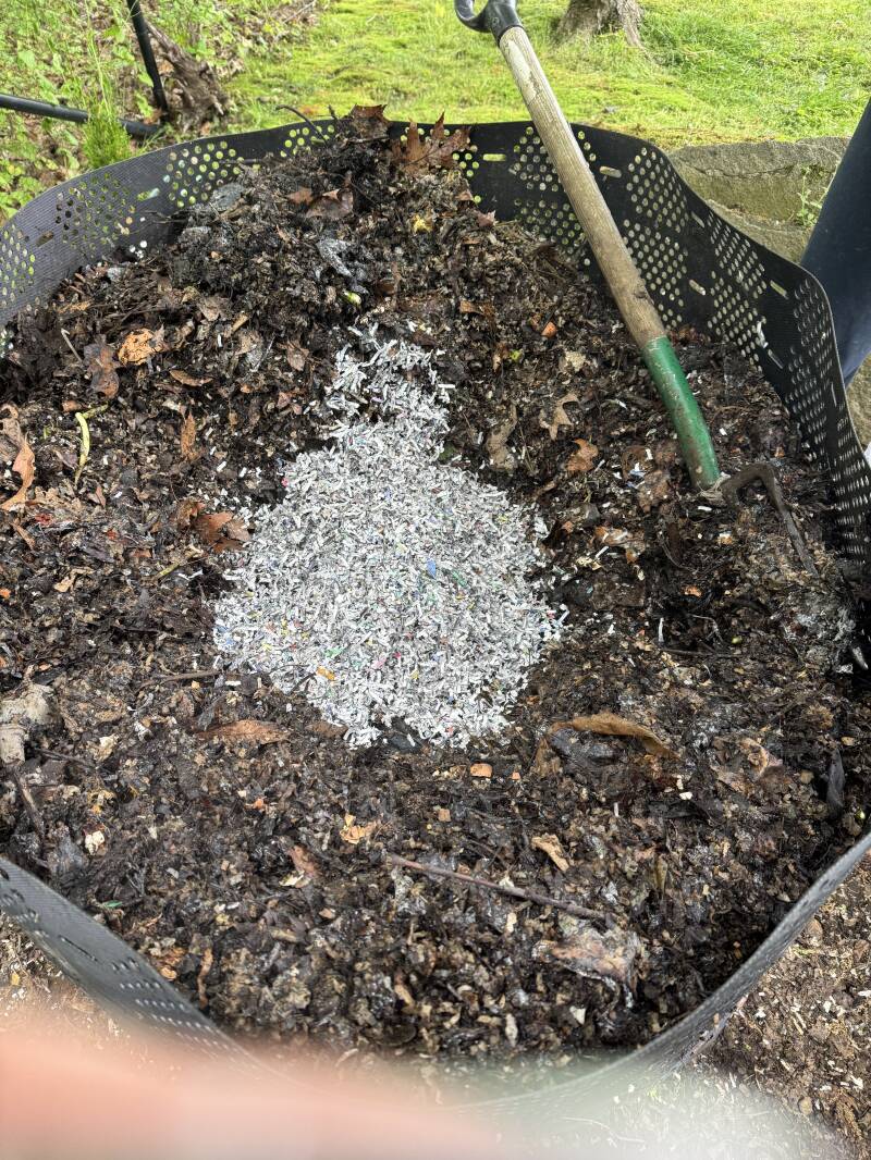 greenwichcompostingproject Mariam Fahimi 