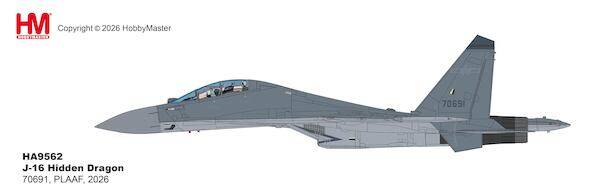 Hobby Master HA9562 | Shenyang J-16 Flanker N