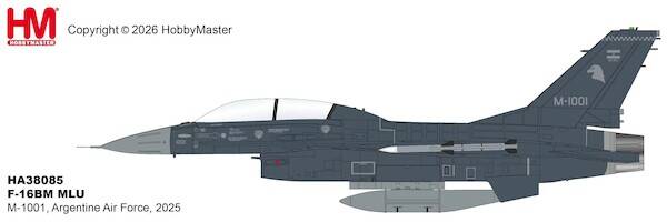 Hobby Master HA38085 |  Lockheed F-16BM Fighting Falcon