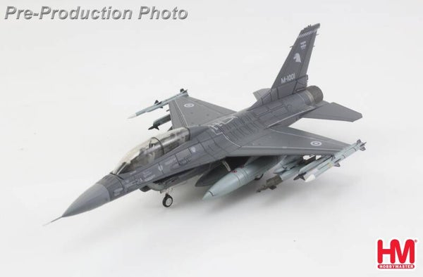 Hobby Master HA38085 |  Lockheed F-16BM Fighting Falcon