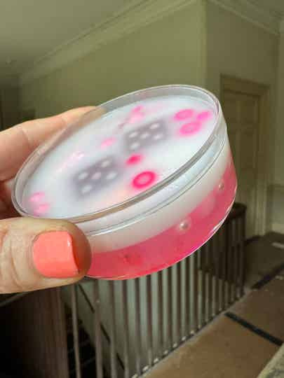 Picky Pad Cakes