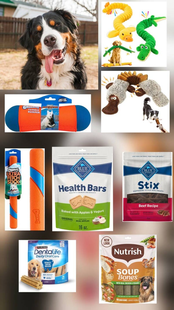 The large dog toy and treat box