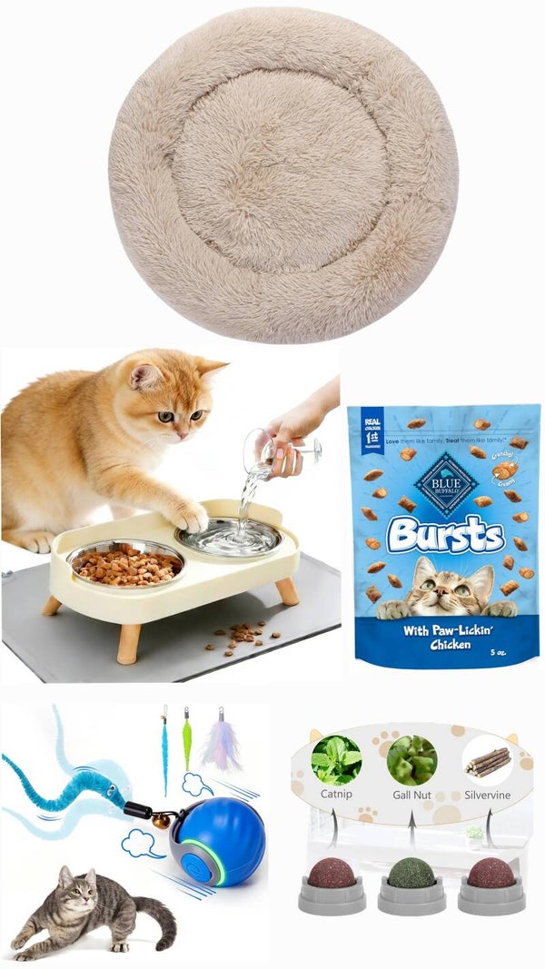 The Cat Box