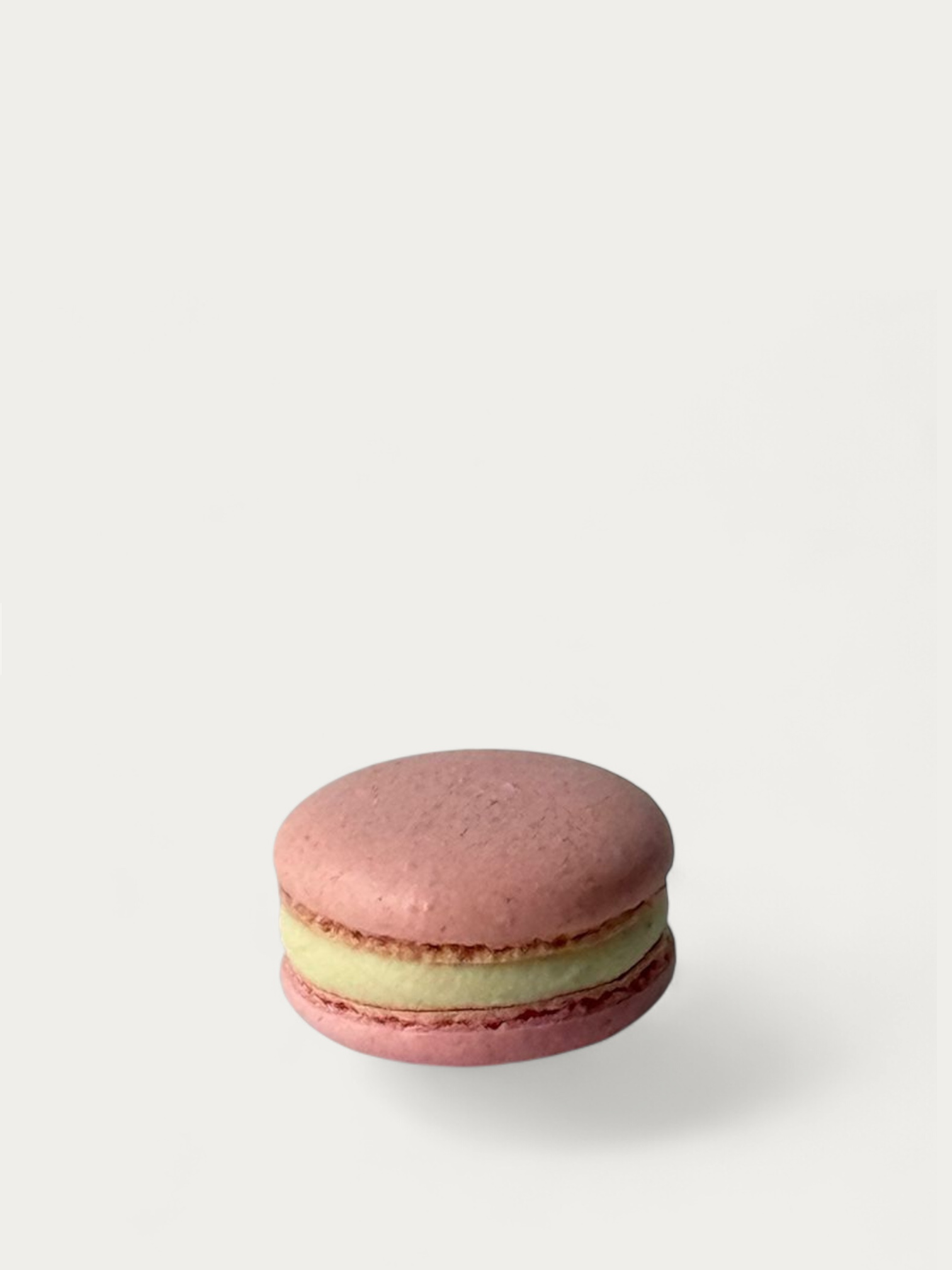 Macaron Vanille-Erdbeere
