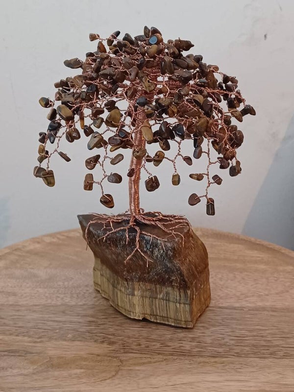 Tijgeroog Bloesemboom (18,5 CM)