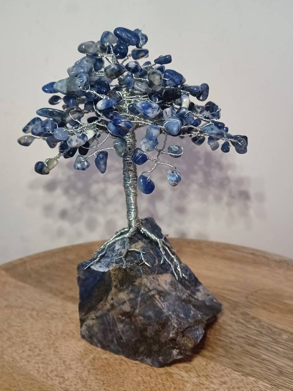 Sodaliet boom (15CM)