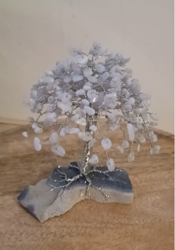 Blue Lace Agaat boom op Versteend koraal (13CM)