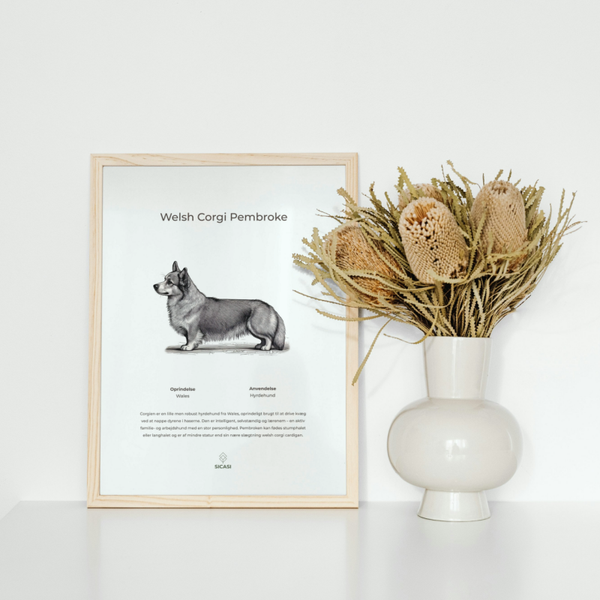 Plakat Welsh Corgi Pembroke