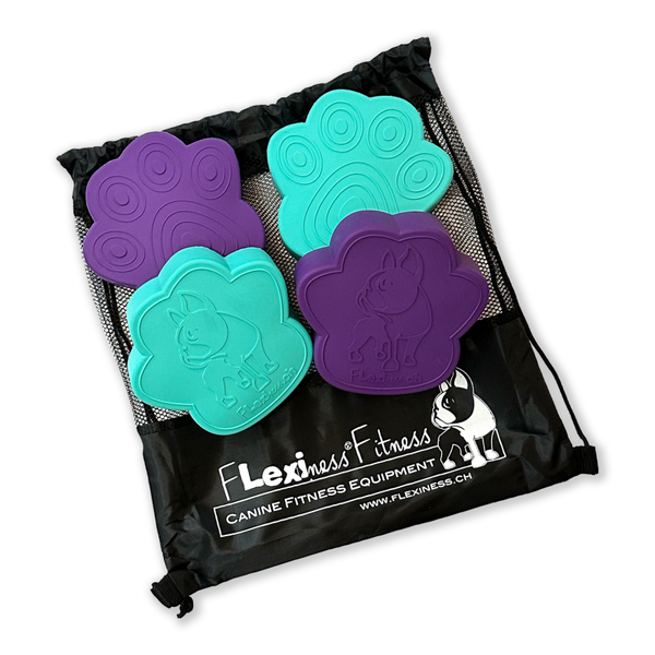 ToyPawDiscs (4 stk.) - Flexiness