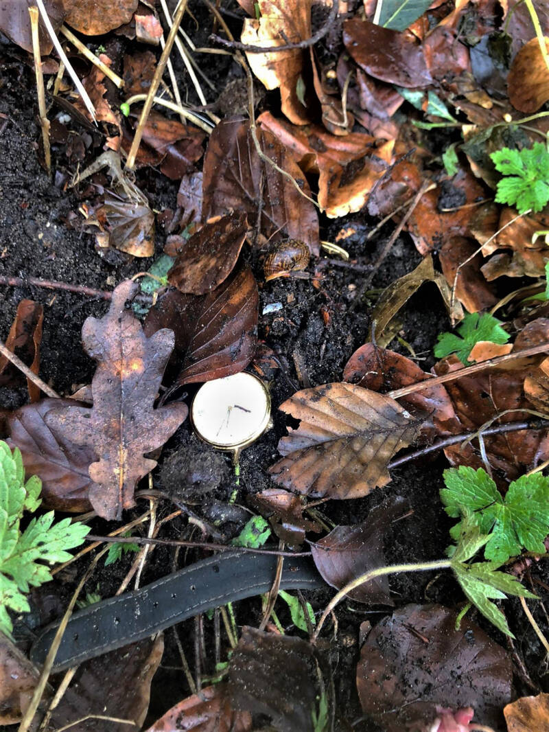 Afbeelding horloge Alexander Bijvanck | De Detectorshop
