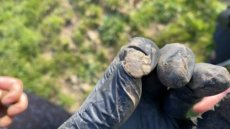 Afbeelding 1 vondst Robin vd Linden | De Detectorshop