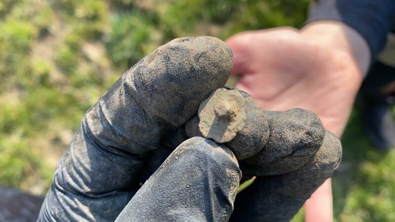 Afbeelding 2 vondst Robin vd Linden | De Detectorshop