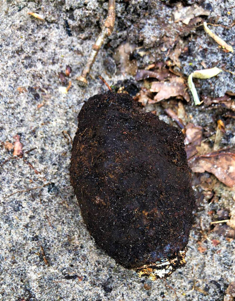 Nederlandse N01 handgranaat 2e WWO | De Detectorshop