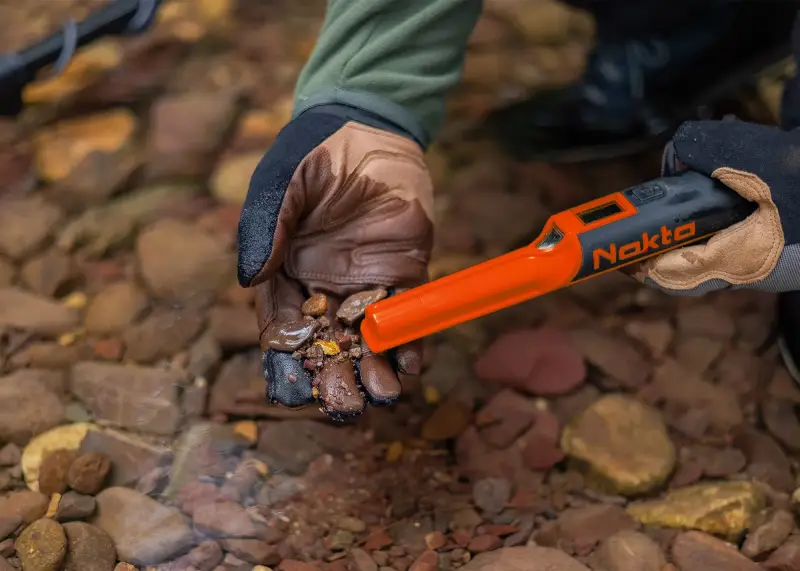 Nokta Accu Point Lite | De Detectorshop