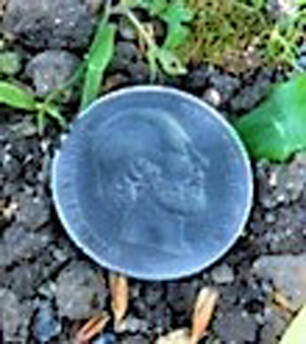 Metaaldetectie Willem de 3e Rijksdaalder 1868 | De Detectorshop