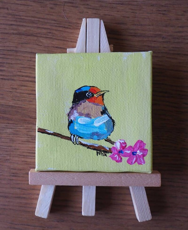 Springbird.
