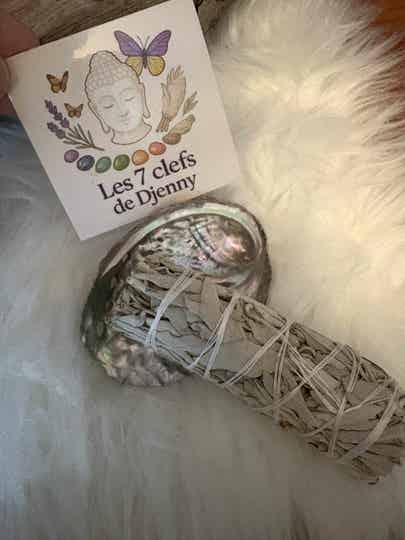 🌊 Coquillage + Sauge🌊