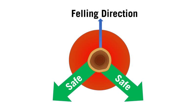 An overhead view of a tree trunk with an arrow pointing straight up labeled Felling Direction. Two green arrows point downwards diagonally at 45 degree angles labeled Safe for escape paths.