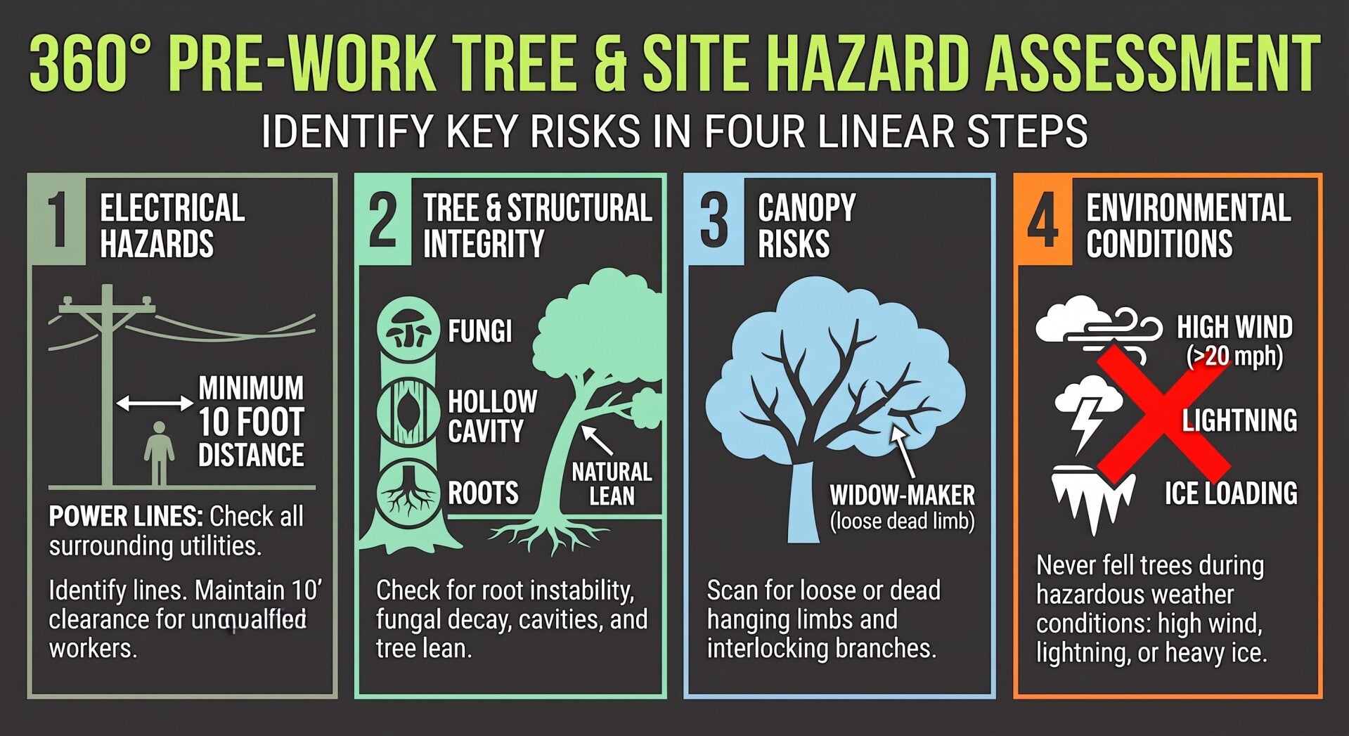 Infographic of a Pre-Work Tree Removal Hazard Assessment. It outlines four core inspection steps: electrical hazards, structural integrity, canopy risks, and environmental conditions. Full text details are provided in the section above.