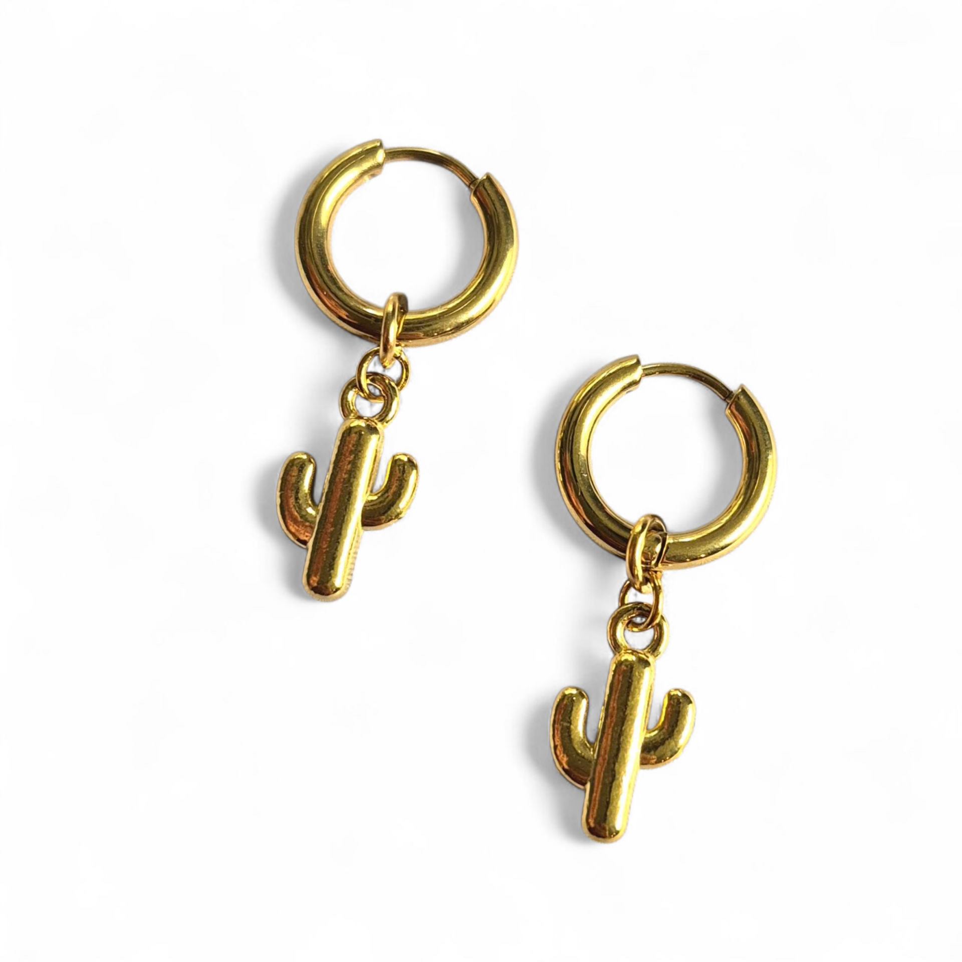 Creolen met RVS cactus