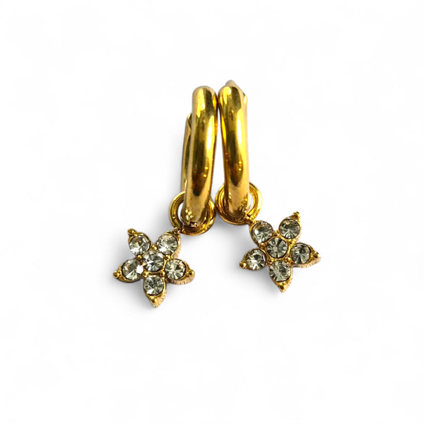 Creolen met klein RVS ijssterretje met witte steentjes