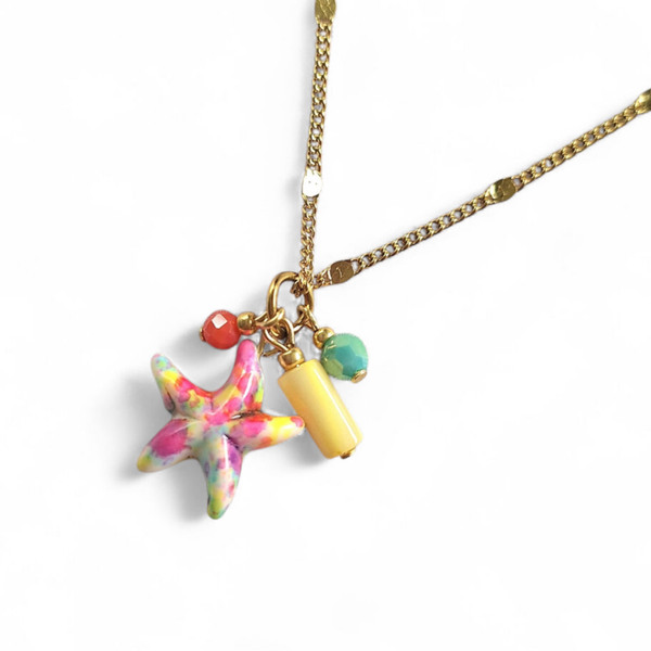 Stainless steel ketting met kleurrijke keramiek zeester