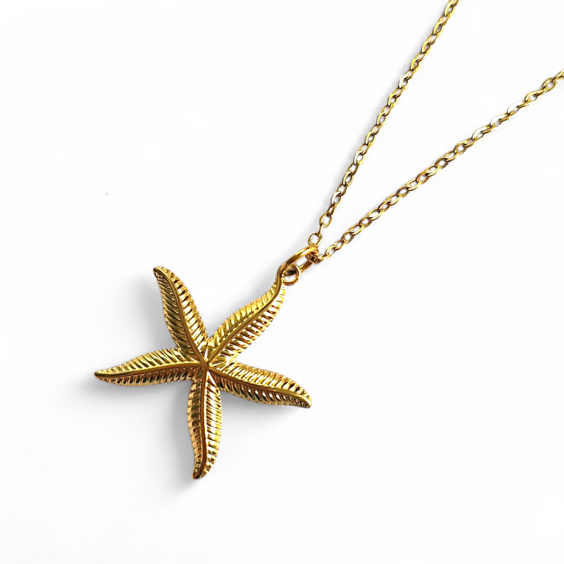 Stainless steel ketting met zeester