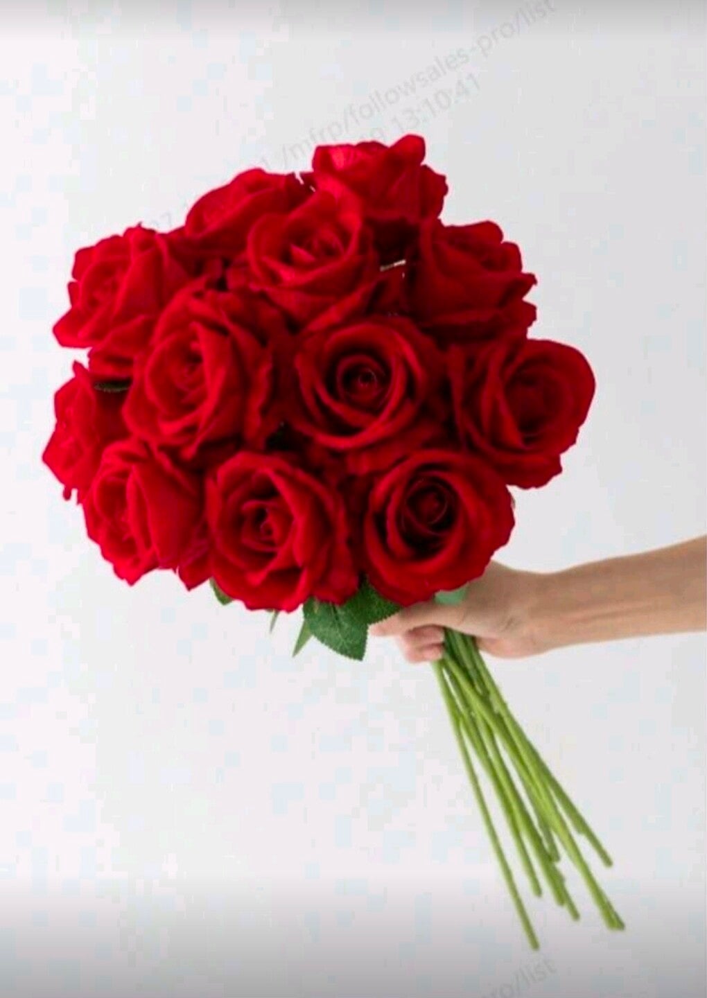 500 roses rouges ( artificielles) location