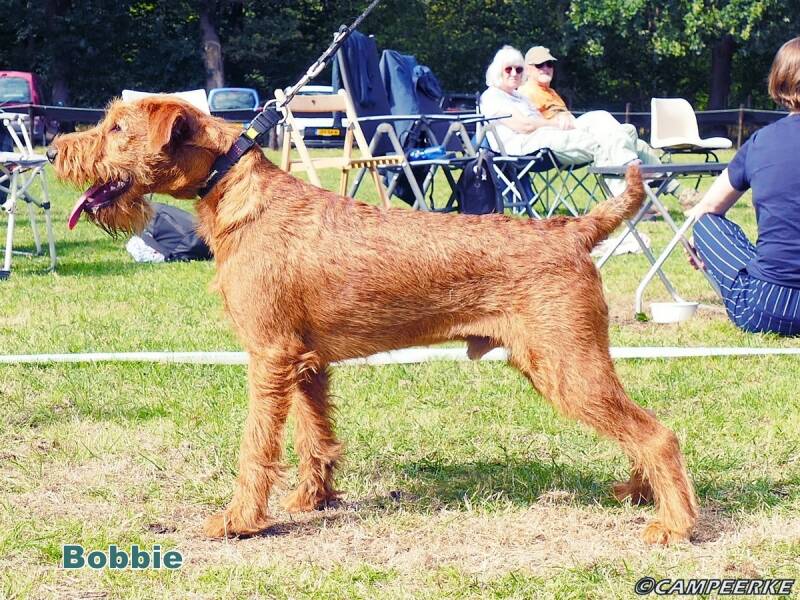 11b-bobbie-standard.jpg