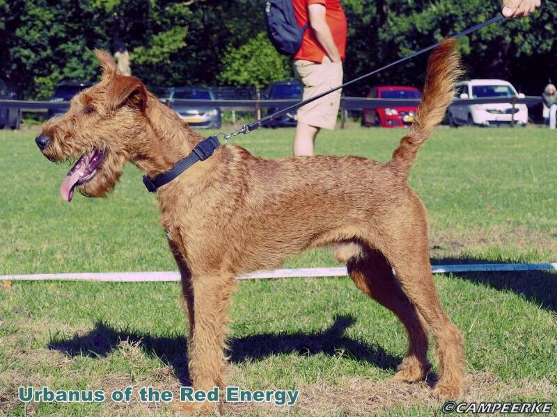 4b-urbanus-of-the-red-energy-standard-nx212v.jpg