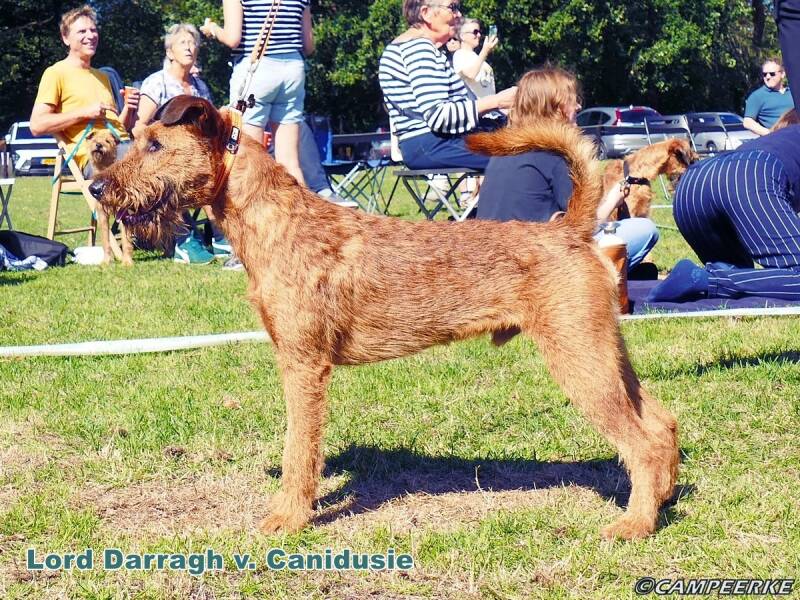 6a-lord-darragh-v-canidusie-standard.jpg
