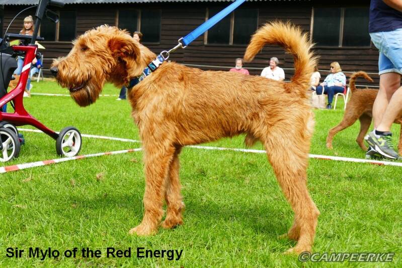 7a-sir-mylo-of-the-red-energy-standard.jpg
