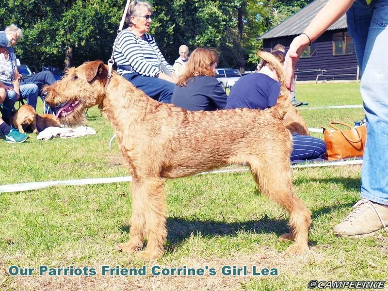 7b-our-parriots-friend-corrine-s-girl-lea-standard.jpg