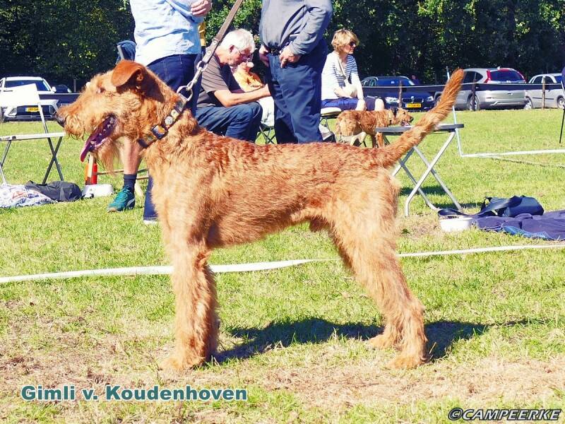 9b-gimli-v-koudenhoven-standard.jpg