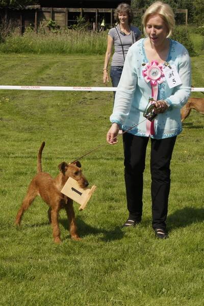 best-puppy-clubmatch-2016-standard-x67twe.jpg