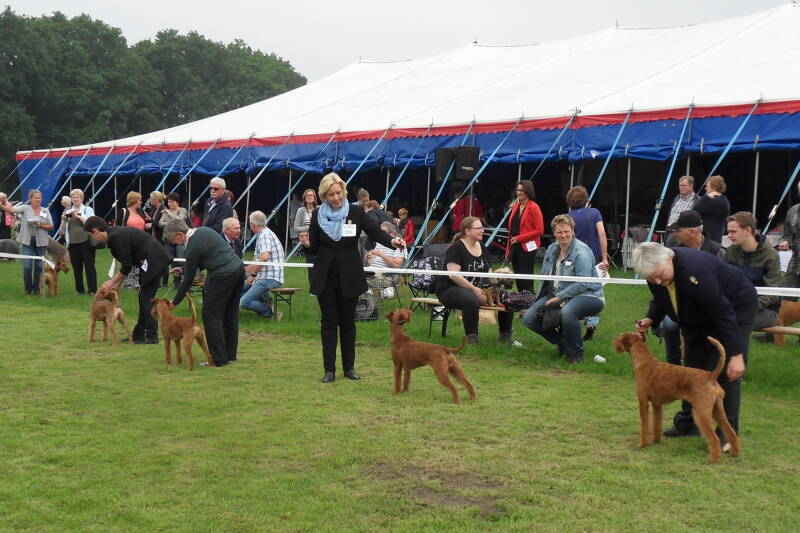 dogshow-tilburg-04-06-2016-standard-83kdkn.jpg