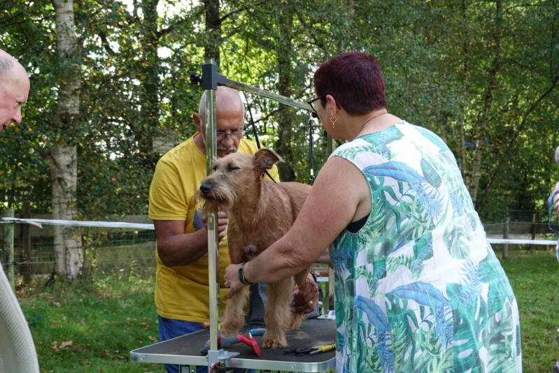 dsc08554-standard.jpg