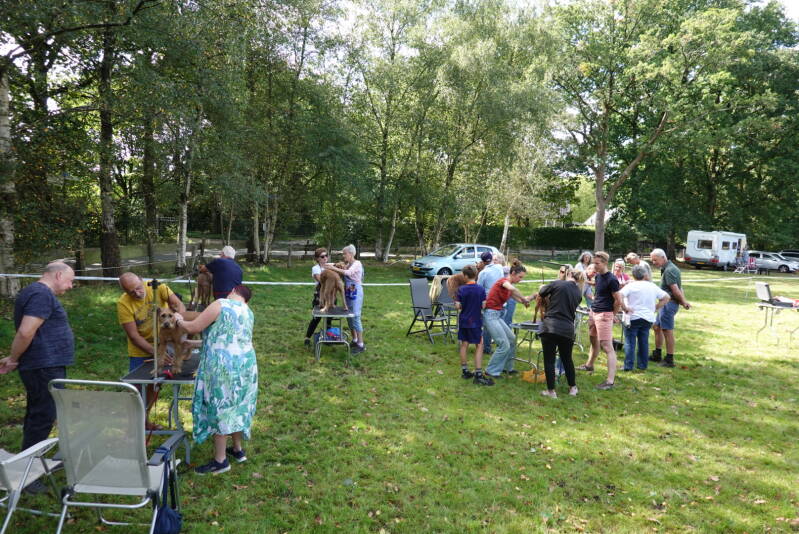 dsc08556-standard.jpg