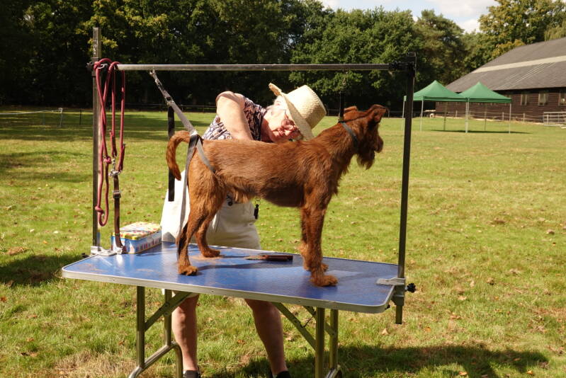 dsc08570-standard.jpg