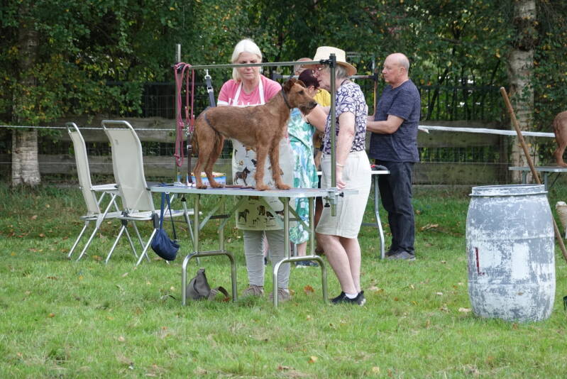 dsc08577-standard.jpg
