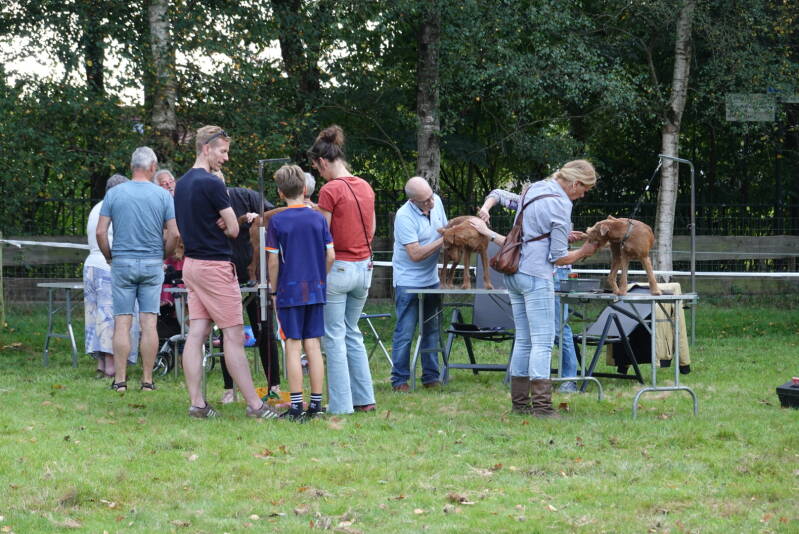 dsc08578-standard.jpg