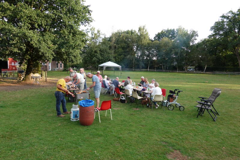 dsc08597-standard.jpg
