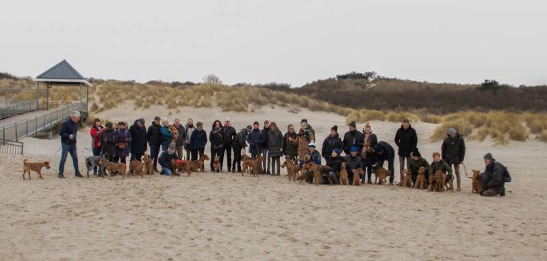 strandwandeling-29-01-2023-01-standard-pucxw0.jpg