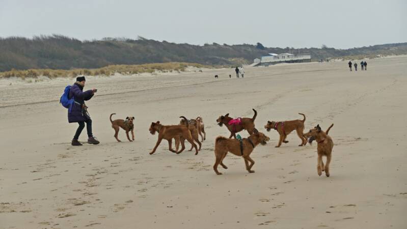 strandwandeling-29-01-2023-02-standard-7q9qte.jpg