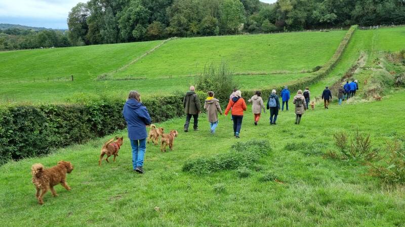 wandeling-ulestraten-sonja-ul-4-standard-6qitye.jpg
