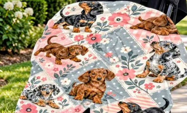 Weenie Dogs Blanket