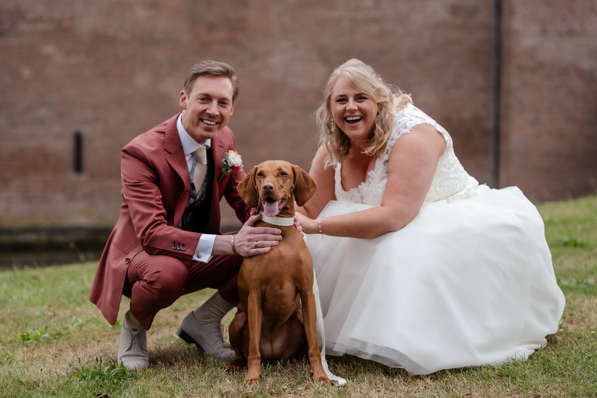 Bruidspaar met Vizsla tijdens bruiloft